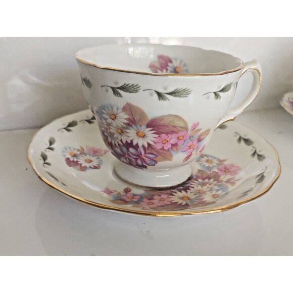 Colclough Bone China Tea Cup & Saucer (8238) Daisies - 1950's - Picture 1 of 13